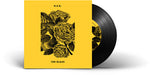 H.E.R. + Foo Fighters - The Glass (Vinyl)