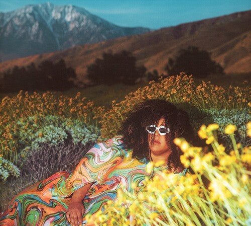 Brittany Howard - What Now (Vinilo)