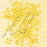 Anni Kiviniemi - Eir (Vinyl)