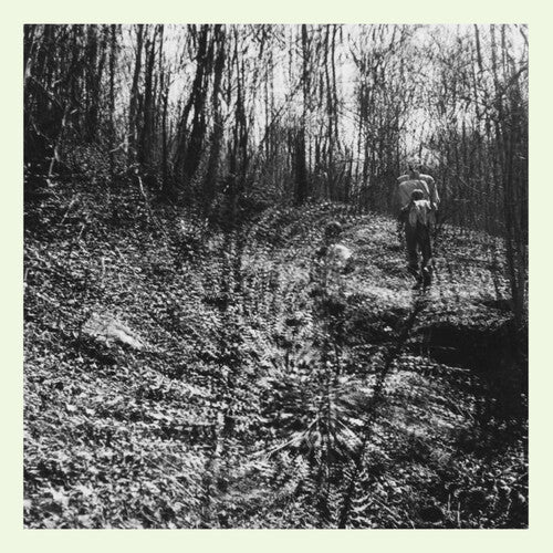 Topographies - Interior Spring (Vinyl)