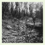 Topographies - Interior Spring (Vinyl)