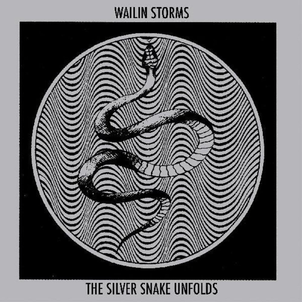 the album cover for Wailin Storms - Silver Snake Unfolds (Blk) (Blue) [Colored Vinyl]