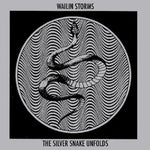 the album cover for Wailin Storms - Silver Snake Unfolds (Blk) (Blue) [Colored Vinyl]