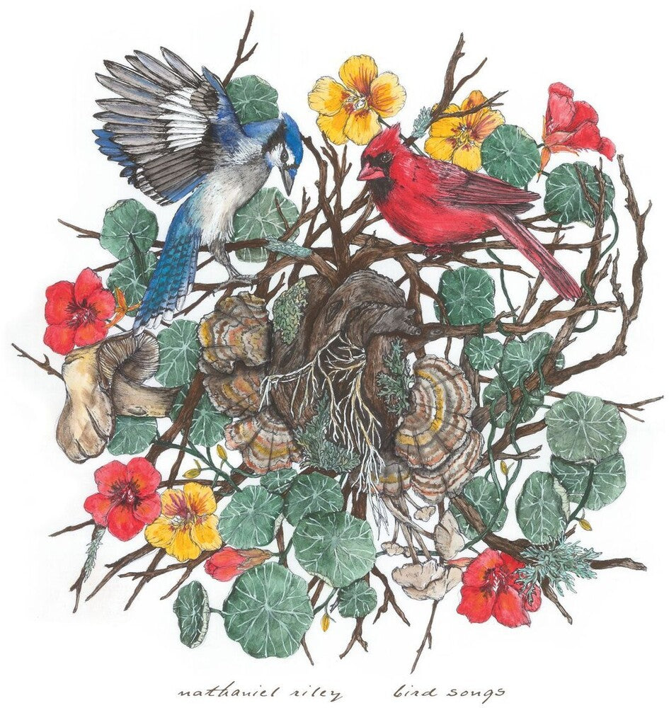 the album cover for Nathaniel Riley - Bird Songs