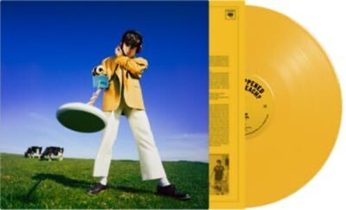 Declan McKenna - ¿Qué pasó con la playa? (Vinilo)
