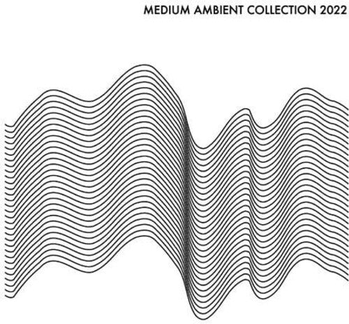 Various Artists - Medium Ambient Collection 2022 ホワイト / Various (レコード)