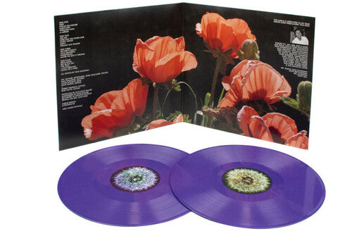 The Bevis Frond - Focus On Nature (Vinyl)