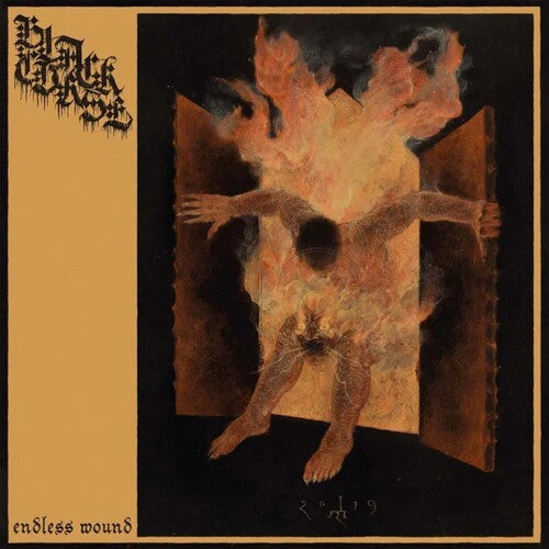 ブラック・カース - Endless Wound (CD)
