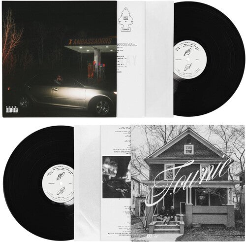 X Ambassadors - Townie (Vinyl)
