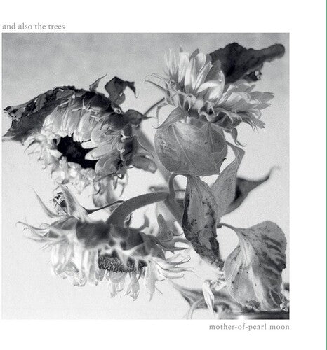 And Also the Trees - Mother-Of-Pearl Moon (CD)