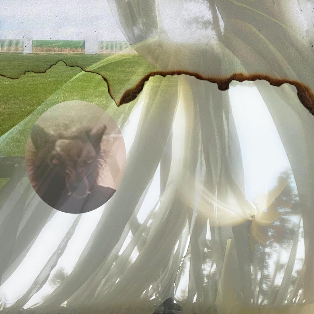 the album cover for Credit Electric - Six (Uk)