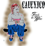 Calexico - Feast of Wire (Bonus Track Version) (Vinyl)