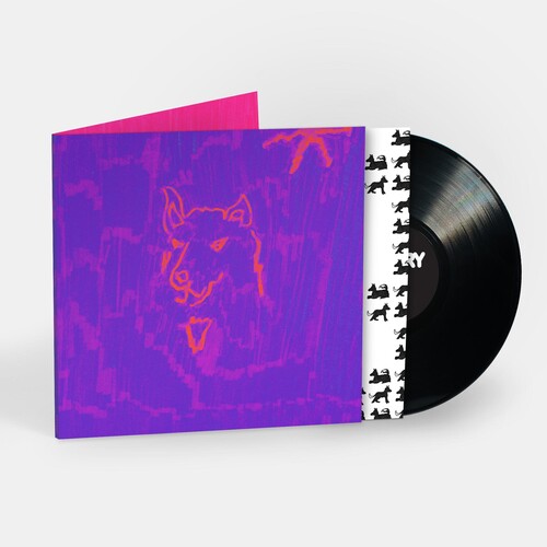 Dehd - Poesía (Vinilo)