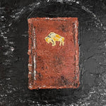 the album cover for Apollo Brown& Che' Noir - As God Intended... (Brwn) [Colored Vinyl]