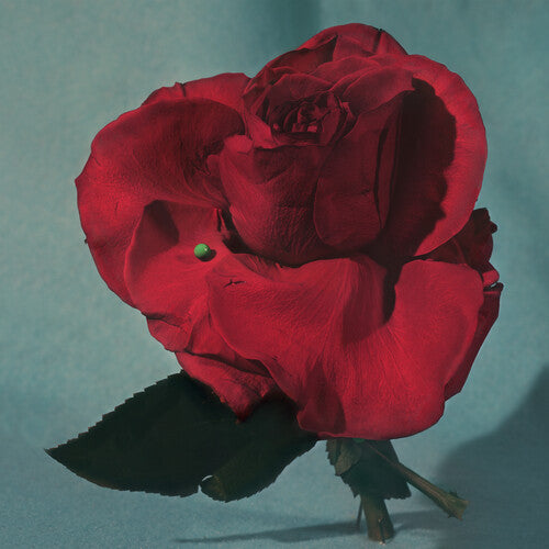 METZ - Up on Gravity Hill - Transparente con rojo (vinilo)