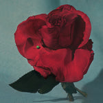 METZ - Up on Gravity Hill - Transparente con rojo (vinilo)