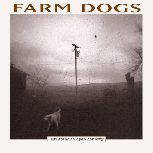 Farm Dogs - Last Stand In Open Country (Vinyl)