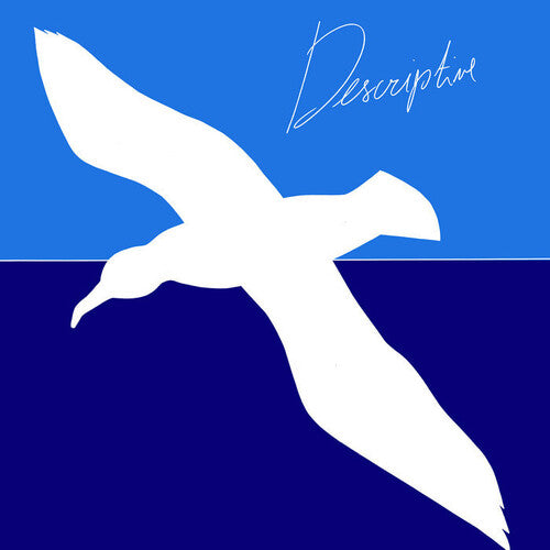 Corviria - Descriptive (IEX) (レコード)