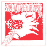 Guided by Voices - Same Place The Fly Got Smashed (Vinyl)