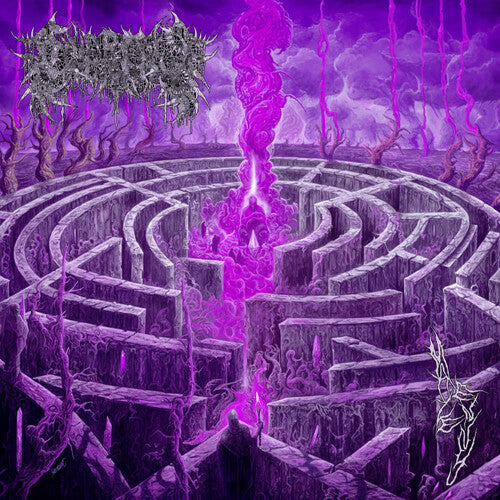 Civerous - Maze Envy (Vinyl)