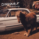the album cover for Dinosaur Jr. - Black Session: Live In Paris 1993