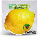 Fools Garden - Lemon Tree (Vinyl)