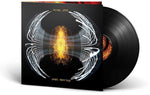 Pearl Jam - Dark Matter (Vinilo)