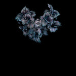 A Lot Like Birds - Divisi (レコード)