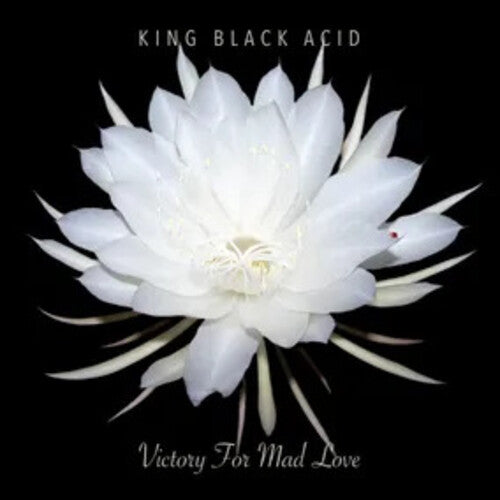King Black Acid - Victory For Mad Love (Vinyl)