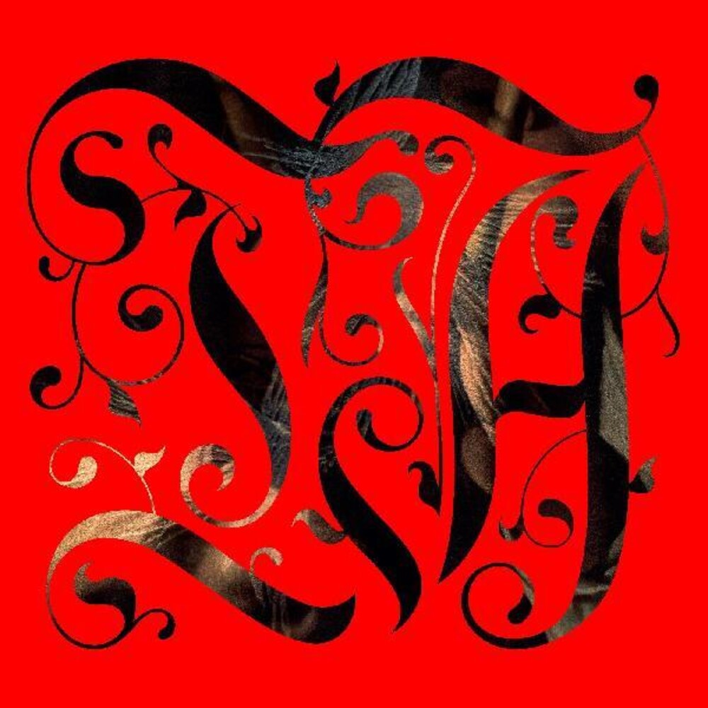 the album cover for Lord Spikeheart - The Adept