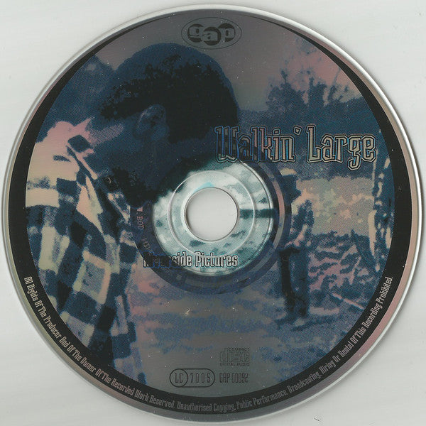 Walkin' Large : Riverside Pictures (CD, Album)