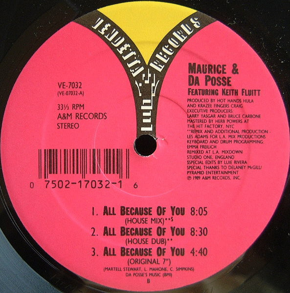 Maurice* & Da Posse : All Because Of You (12")