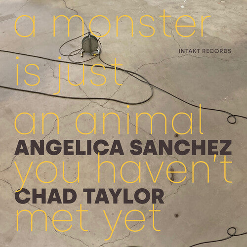 Angelica Sanchez - A Monster Is Just an Animal You Haven't Met Yet (CD)