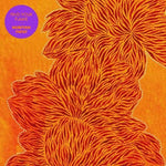 Nubiyan Twist - Find Your Flame (Vinyl)
