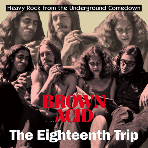 Various Artists - Brown Acid - The Eighteenth Trip (Various Artists) (Vinyl)