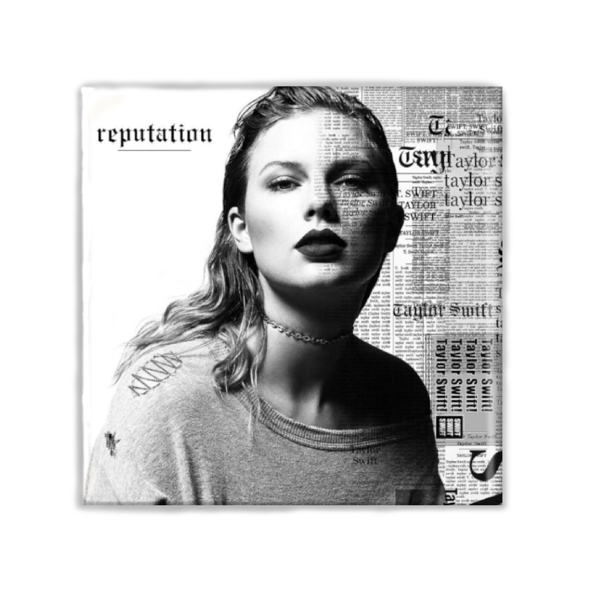 Reputation T.S. Album Magnet