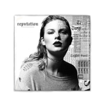 Reputation T.S. Album Magnet