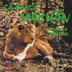 the album cover for Ananda Shankar - Sa-Re-Ga Machan