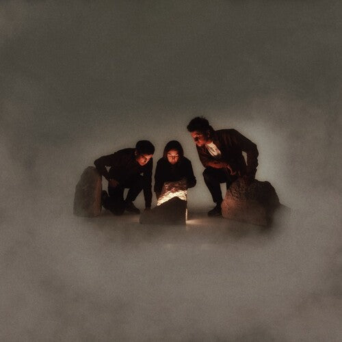 Blind Seagull - Decade Of Effort (Vinyl)