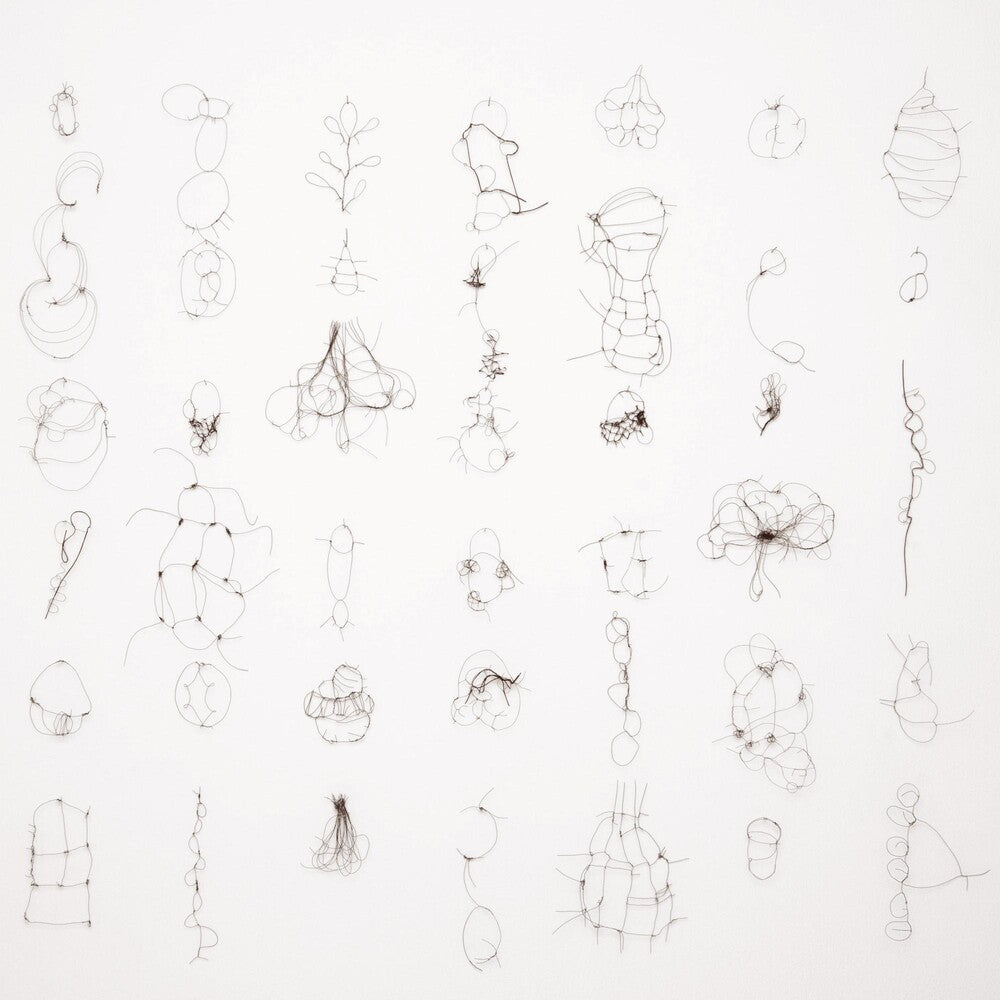 the album cover for Maria Reich - Interdependenzen