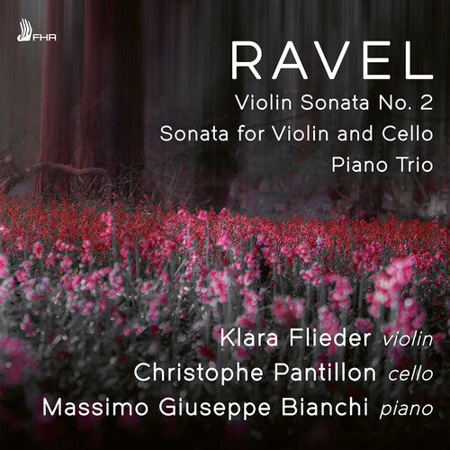 Klara Flieder - Violin Sonata No. 2 in G Major Sonata for Violin (CD)
