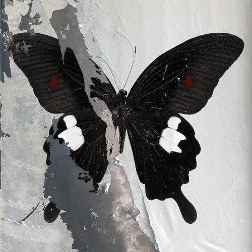 デス・カルト - パラダイス・ナウ (レコード)