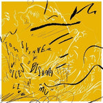 Tom Skinner - Voices Of Bishara en directo en 'mu' (vinilo)