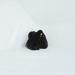 Chelsea Wolfe - Hiss Spun (Vinyl)