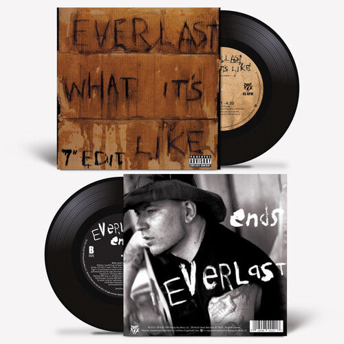 Everlast - What It's Like/Ends (Vinyl)