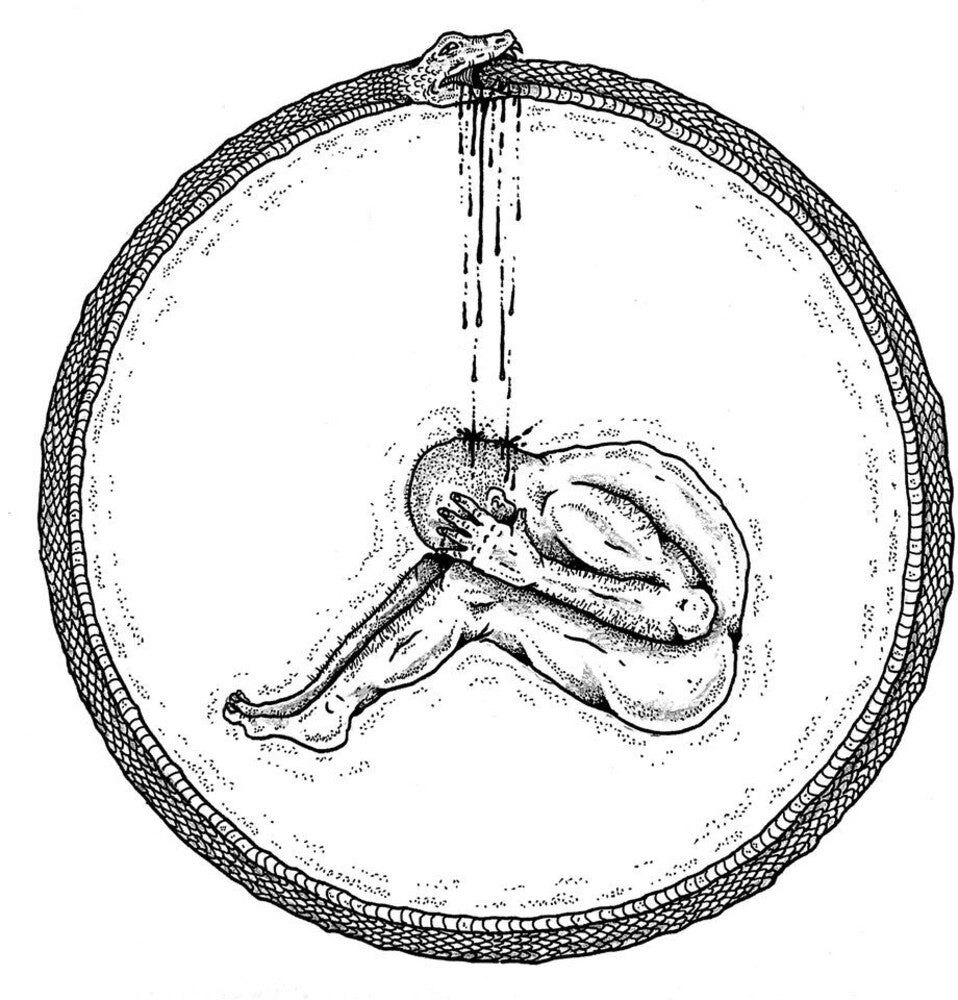 the album cover for Caveman - Something's Got To Give