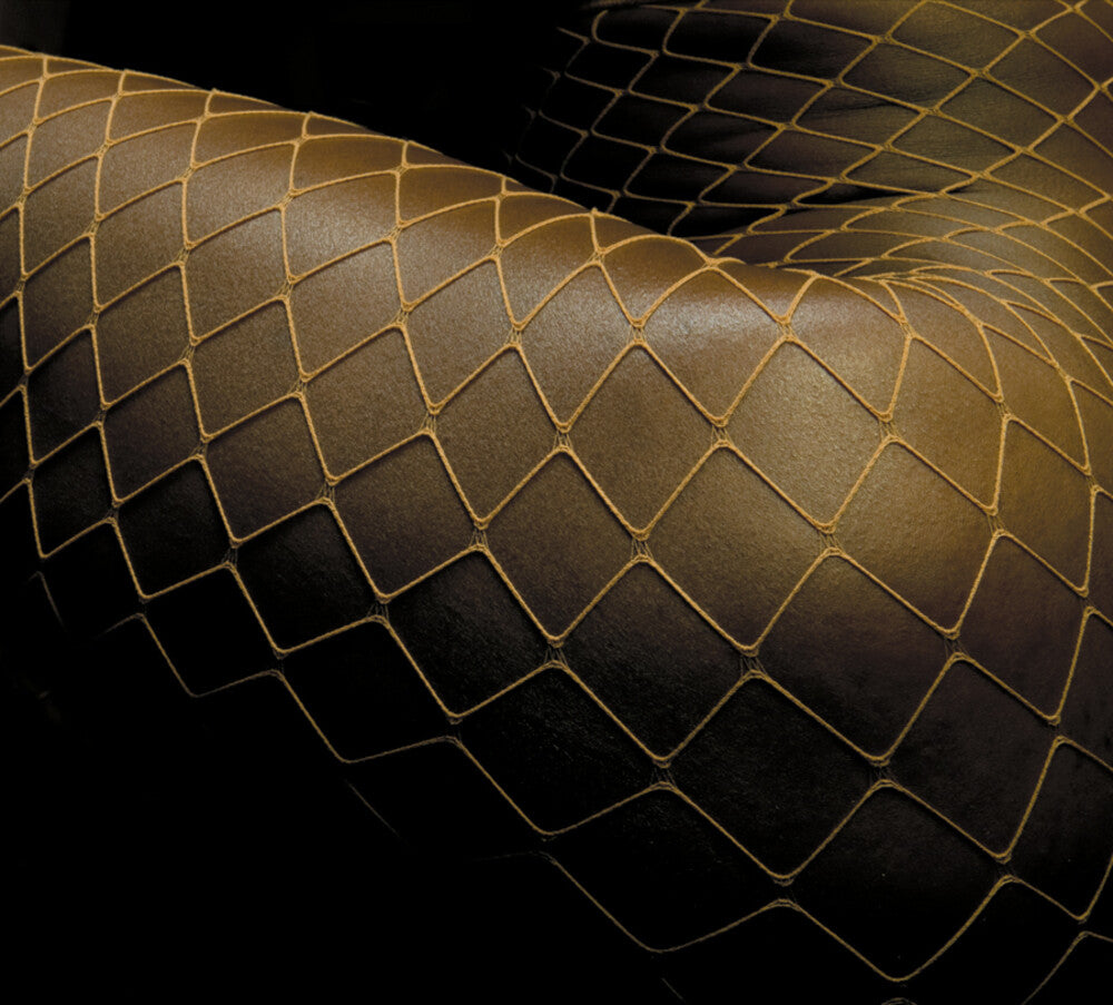 the album cover for Bajofondo - Presente