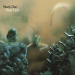 Steely Dan - Katy Lied (Vinilo)
