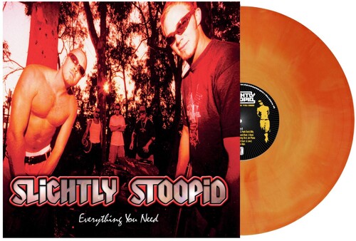 Slightly Stoopid - Everything You Need (Vinyl)
