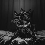 NTO - Forever Friends (レコード)